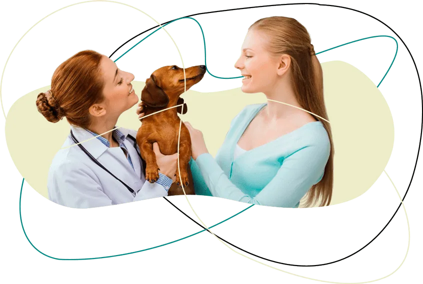 Entre Em Contato Com A Clínica Veterinária Em Campinas Bem Mais Pet