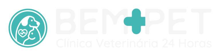 Logo Bem Mais Pet Clínica Veterinária 24 Horas em Campinas Bem Mais Pet