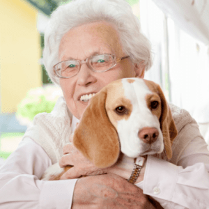 Veterinário 24H Campinas | Bem Mais Pet 10 Farmácia Veterinária Farmácia Pet Clínica Veterinária 24 Horas Em Campinas Bem Mais Pet