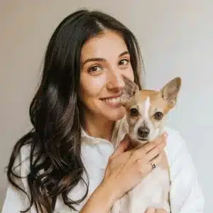Piometra: saiba o que é, como identificar e tratar essa doença grave que afeta o útero dos animais