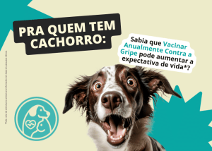 Vacina de Gripe Pra Cachorro Bem Mais Pet