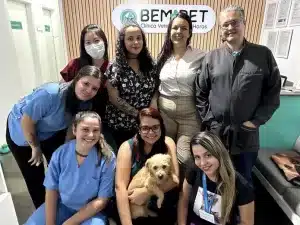 Treinamento em Campinas Aprimora Habilidades Veterinárias Bem + Pet