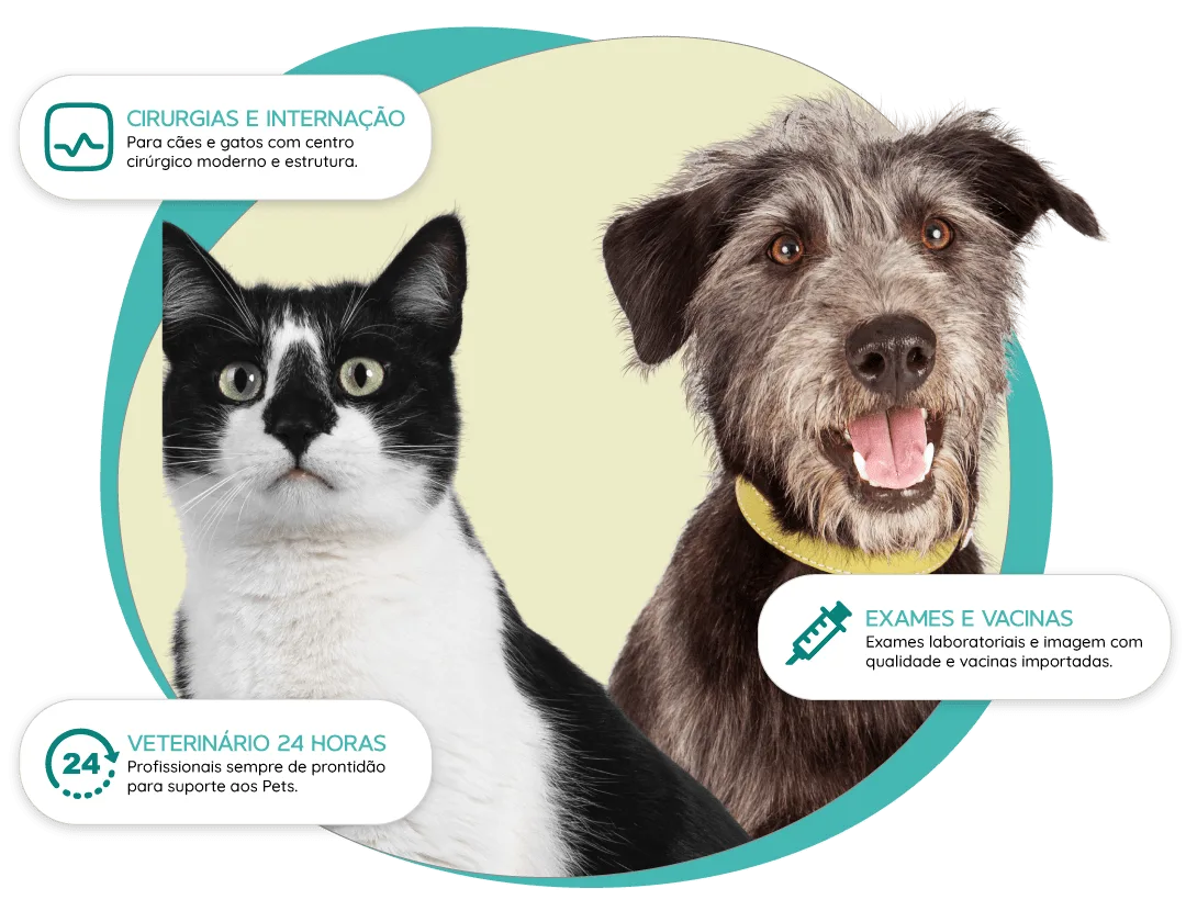 Veterinário Campinas 24 Horas Bem Mais Pet