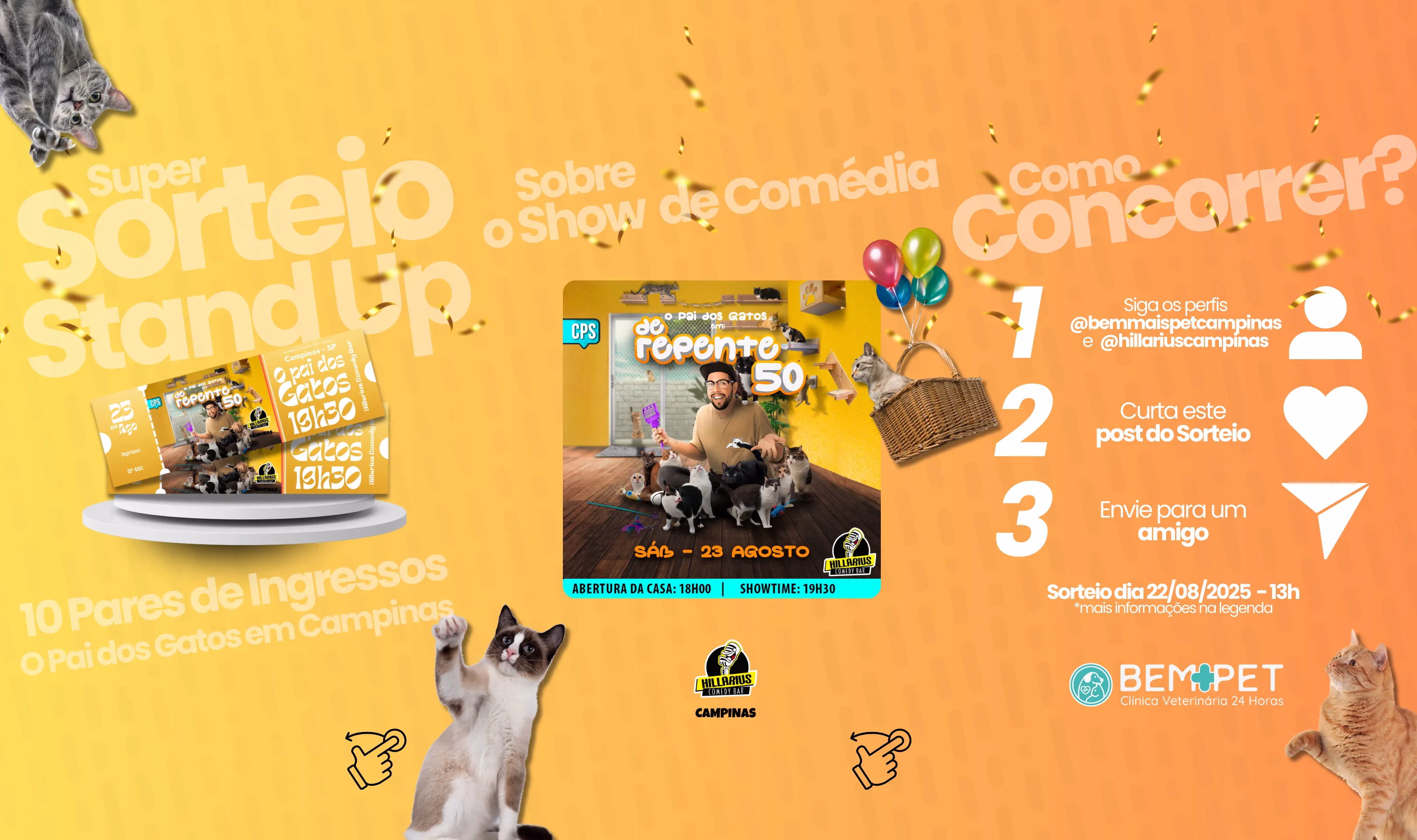 Stories-Sorteio-Par-de-Ingressos-O-Pai-dos-Gatos-Campinas-Hillarius
