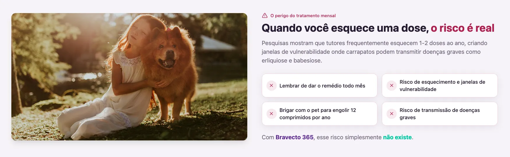 Pesquisas Mostram Que Tutores Frequentemente Esquecem 1-2 Doses Ao Ano, Criando Janelas De Vulnerabilidade Onde Carrapatos Podem Transmitir Doenças Graves Como Erliquiose E Babesiose.

