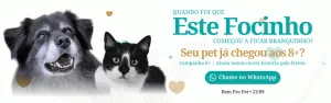 Cachorro e gato olhando para a câmera, promovendo campanha para pets acima de 8 anos, com texto informativo e botão do WhatsApp