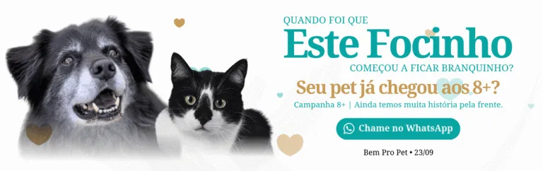 Cachorro e gato olhando para a câmera, promovendo campanha para pets acima de 8 anos, com texto informativo e botão do WhatsApp