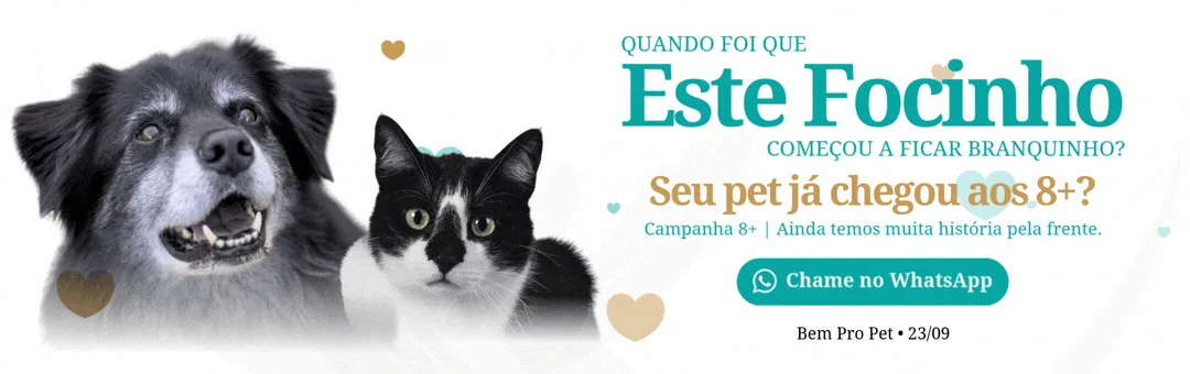 Cachorro e gato olhando para a câmera, promovendo campanha para pets acima de 8 anos, com texto informativo e botão do WhatsApp